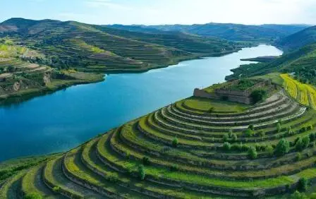 重點行業VOCs治理“一企一策”！寧夏空氣質量持續改善行動實施方案公開征求意見