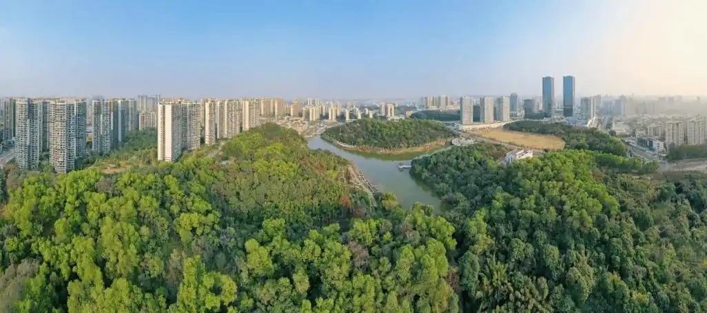 “三進(jìn)三同”攜手共進(jìn)，江門(mén)站助力區(qū)縣監(jiān)測(cè)見(jiàn)成效