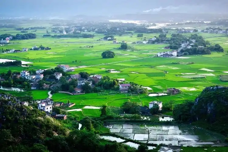 政府工作報(bào)告出爐，2025年生態(tài)環(huán)保工作這么干！