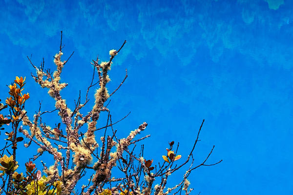 生態(tài)環(huán)境部部長黃潤秋出席COP30“中國角”系列邊會活動并會見外方高級代表